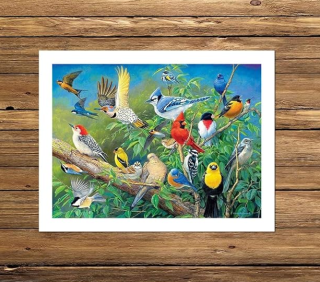 Preview: Diamond Painting Tropische Vögel